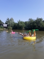 boerencamping Zwetzone in Wateringen, Zuid Holland